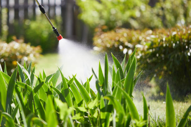 24/7 Emergency Mosquito Control experts in Spirit Lake, ID