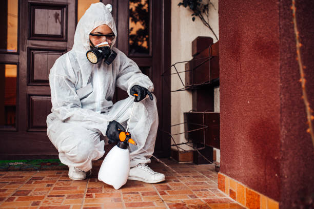 Reliable Mosquito Control contractor in Spirit Lake, ID by Show Me Pest Control