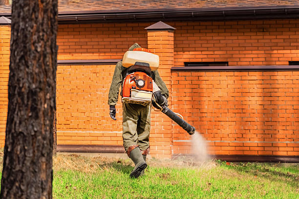 Top rated local Mosquito Control specialists in Spirit Lake, ID